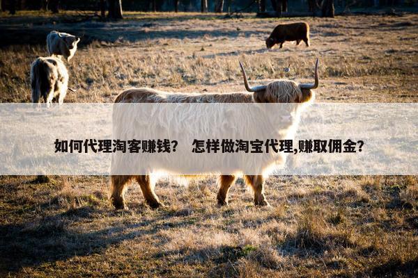 如何代理淘客赚钱？ 怎样做淘宝代理,赚取佣金？
