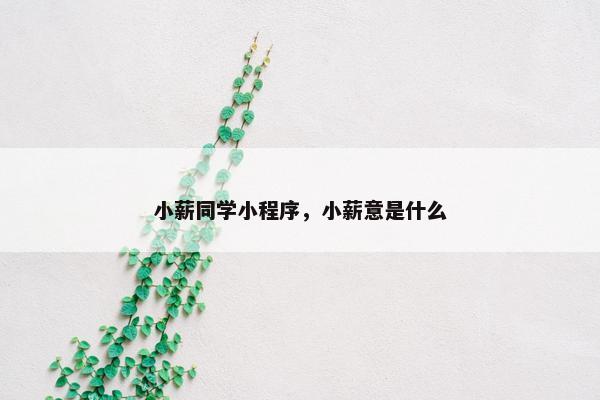 小薪同学小程序，小薪意是什么
