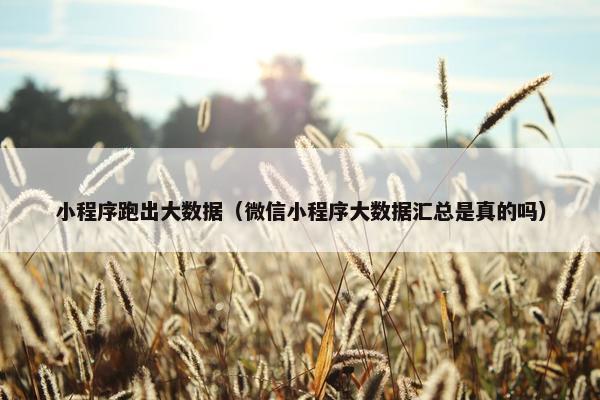 小程序跑出大数据（微信小程序大数据汇总是真的吗）