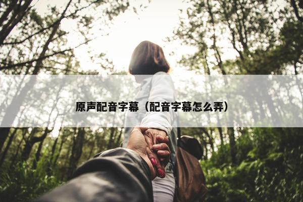 原声配音字幕（配音字幕怎么弄）