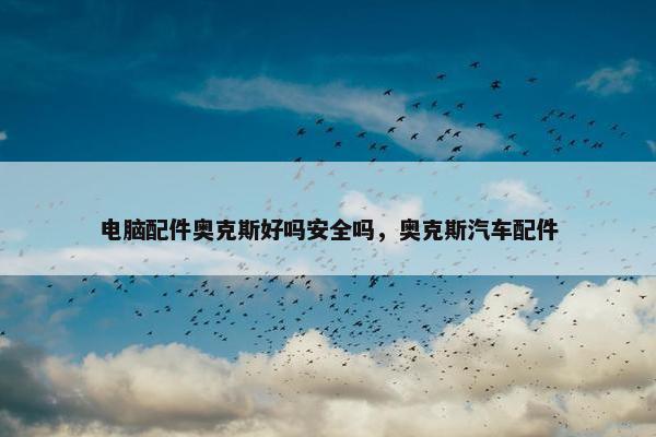 电脑配件奥克斯好吗安全吗，奥克斯汽车配件