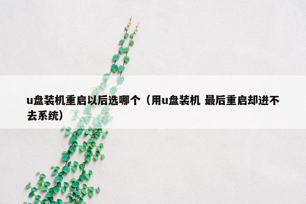 u盘装机重启以后选哪个（用u盘装机 最后重启却进不去系统）