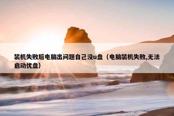 装机失败后电脑出问题自己没u盘（电脑装机失败,无法启动优盘）
