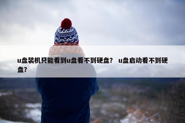 u盘装机只能看到u盘看不到硬盘？ u盘启动看不到硬盘？