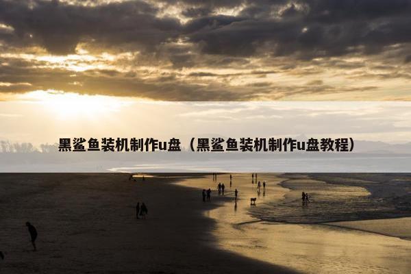 黑鲨鱼装机制作u盘（黑鲨鱼装机制作u盘教程）