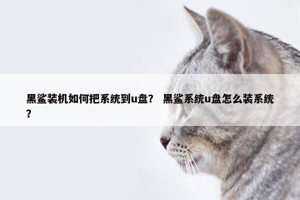 黑鲨装机如何把系统到u盘？ 黑鲨系统u盘怎么装系统？