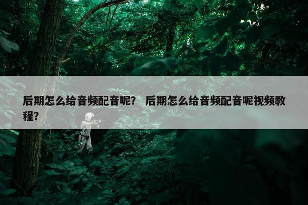 后期怎么给音频配音呢？ 后期怎么给音频配音呢视频教程？
