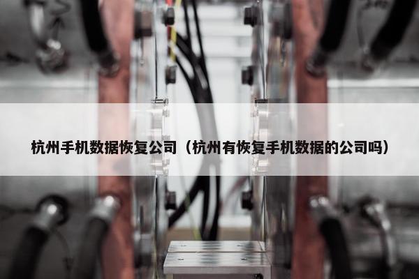 杭州手机数据恢复公司（杭州有恢复手机数据的公司吗）