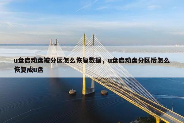 u盘启动盘被分区怎么恢复数据，u盘启动盘分区后怎么恢复成u盘