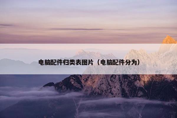 电脑配件归类表图片（电脑配件分为）