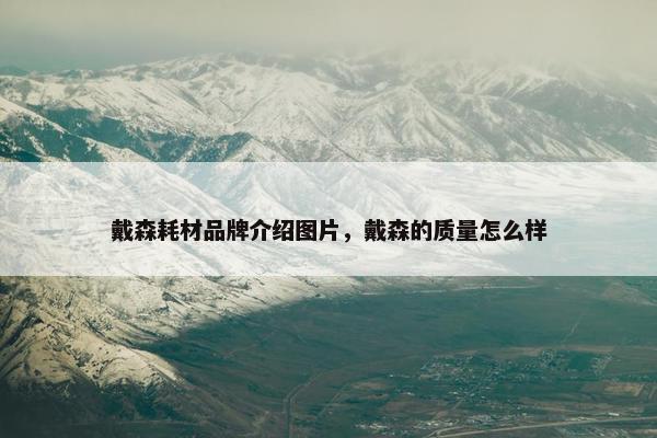 戴森耗材品牌介绍图片，戴森的质量怎么样