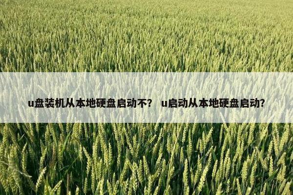 u盘装机从本地硬盘启动不？ u启动从本地硬盘启动？