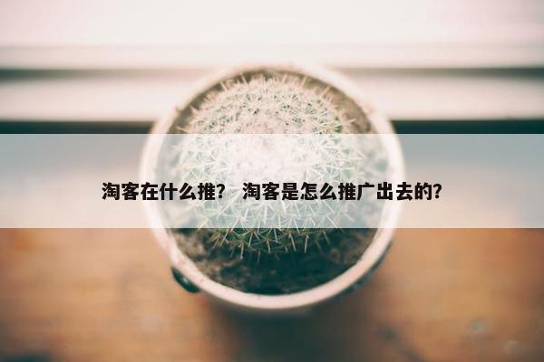 淘客在什么推？ 淘客是怎么推广出去的？