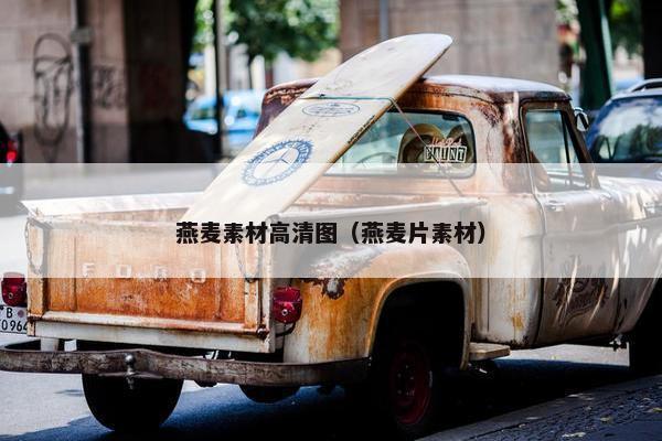 燕麦素材高清图（燕麦片素材）