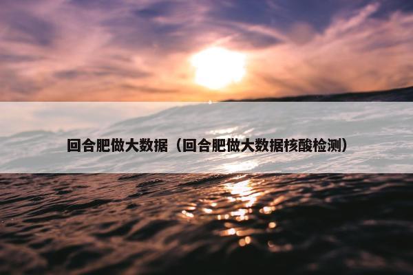 回合肥做大数据（回合肥做大数据核酸检测）