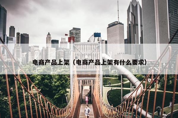 电商产品上架（电商产品上架有什么要求）