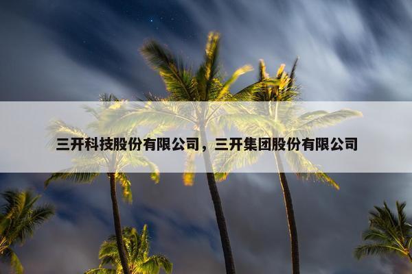 三开科技股份有限公司，三开集团股份有限公司
