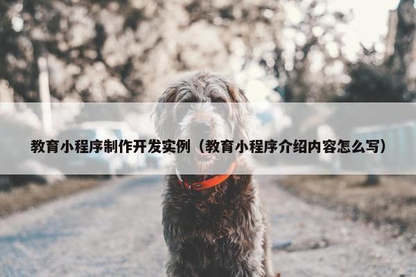 教育小程序制作开发实例（教育小程序介绍内容怎么写）