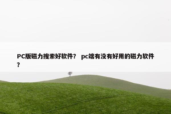 PC版磁力搜索好软件？ pc端有没有好用的磁力软件？