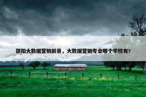 邵阳大数据营销前景，大数据营销专业哪个学校有?