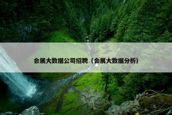 会展大数据公司招聘（会展大数据分析）
