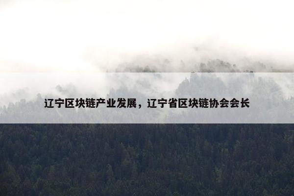 辽宁区块链产业发展，辽宁省区块链协会会长