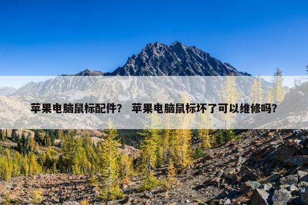 苹果电脑鼠标配件？ 苹果电脑鼠标坏了可以维修吗？