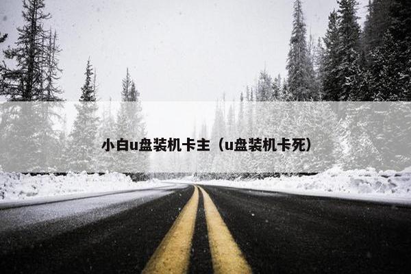 小白u盘装机卡主（u盘装机卡死）
