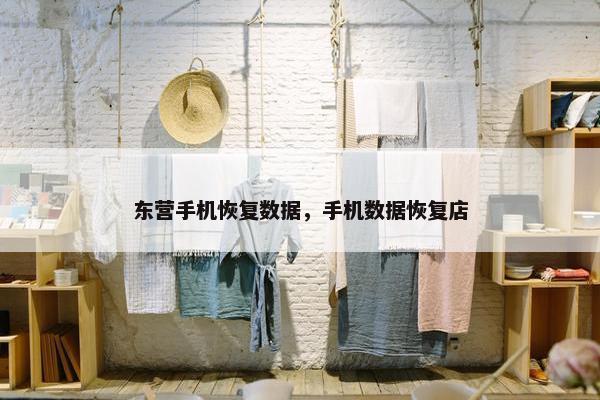 东营手机恢复数据，手机数据恢复店