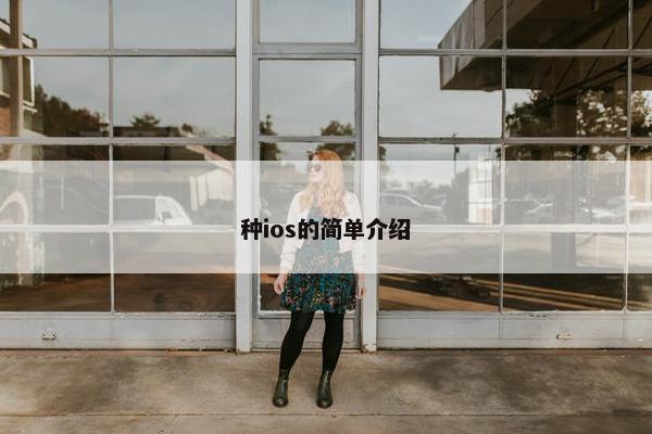 种ios的简单介绍