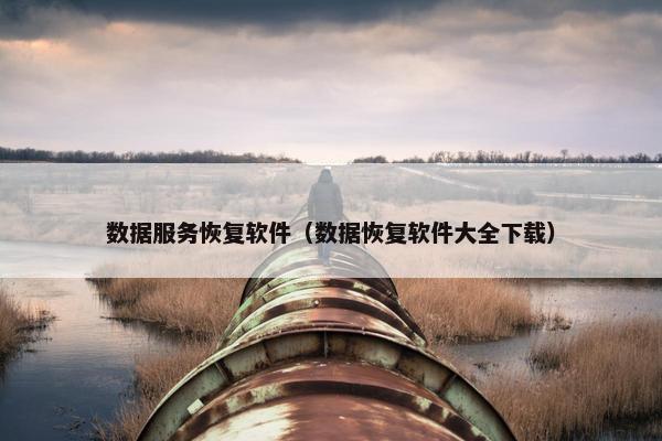 数据服务恢复软件（数据恢复软件大全下载）