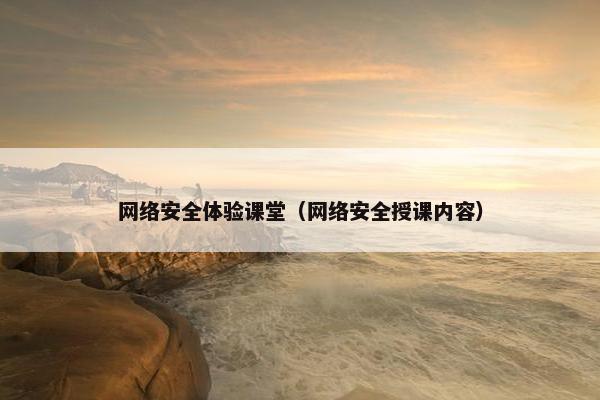 网络安全体验课堂（网络安全授课内容）