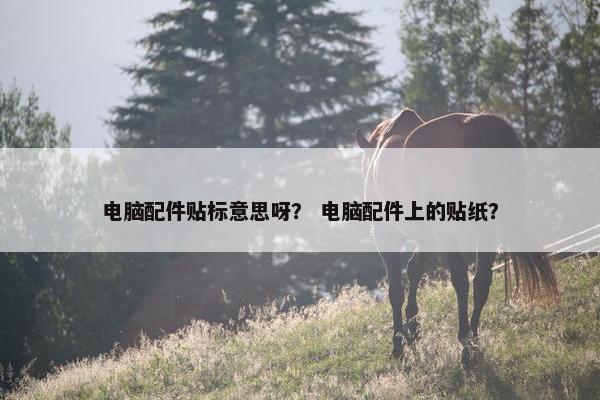 电脑配件贴标意思呀？ 电脑配件上的贴纸？