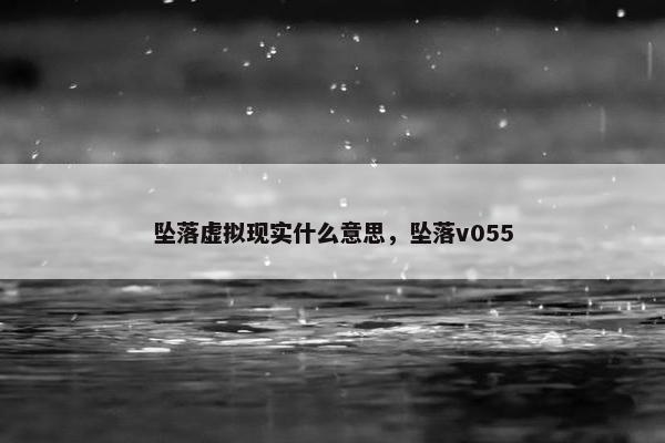 坠落虚拟现实什么意思，坠落v055