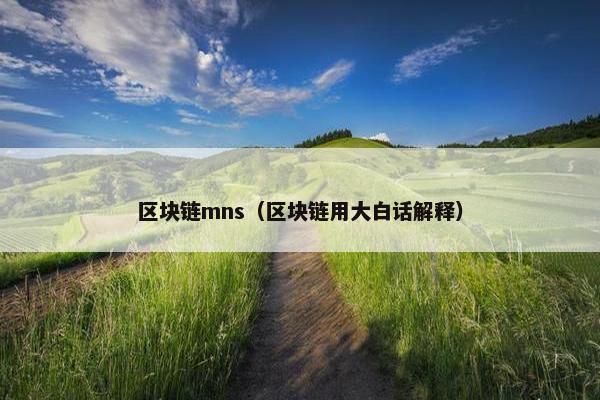 区块链mns（区块链用大白话解释）