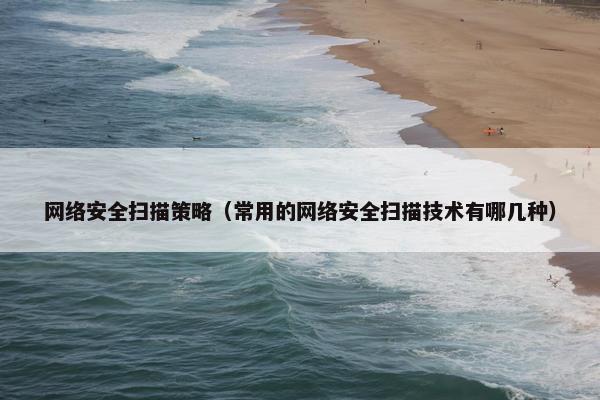 网络安全扫描策略（常用的网络安全扫描技术有哪几种）
