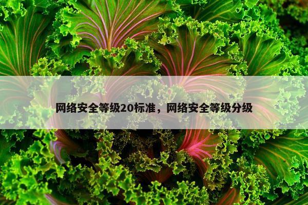 网络安全等级20标准，网络安全等级分级