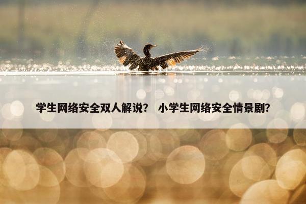 学生网络安全双人解说？ 小学生网络安全情景剧？
