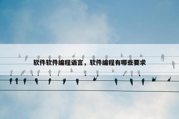 软件软件编程语言，软件编程有哪些要求