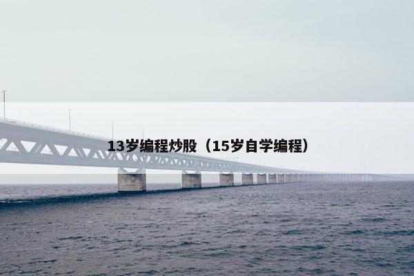 13岁编程炒股（15岁自学编程）