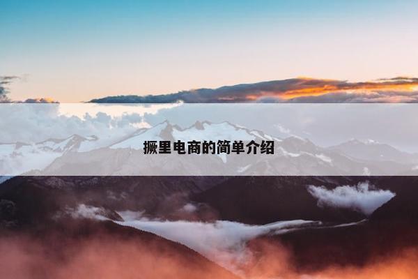撅里电商的简单介绍