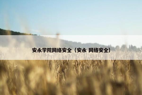 安永学院网络安全（安永 网络安全）
