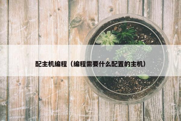 配主机编程（编程需要什么配置的主机）