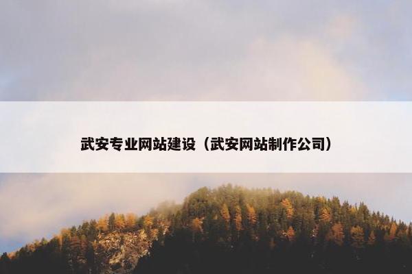 武安专业网站建设（武安网站制作公司）