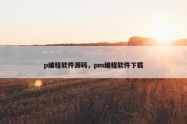 p编程软件源码，pm编程软件下载