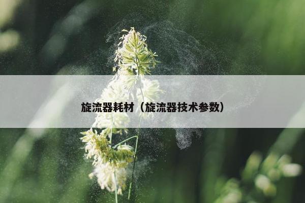 旋流器耗材（旋流器技术参数）