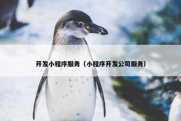 开发小程序服务（小程序开发公司服务）