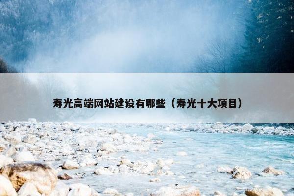 寿光高端网站建设有哪些（寿光十大项目）