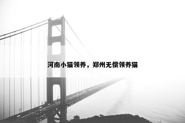 河南小猫领养，郑州无偿领养猫