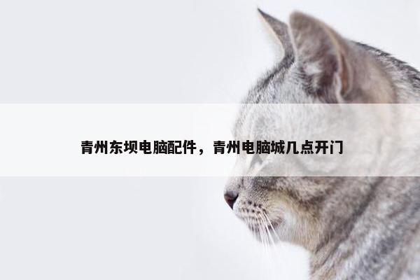 青州东坝电脑配件，青州电脑城几点开门